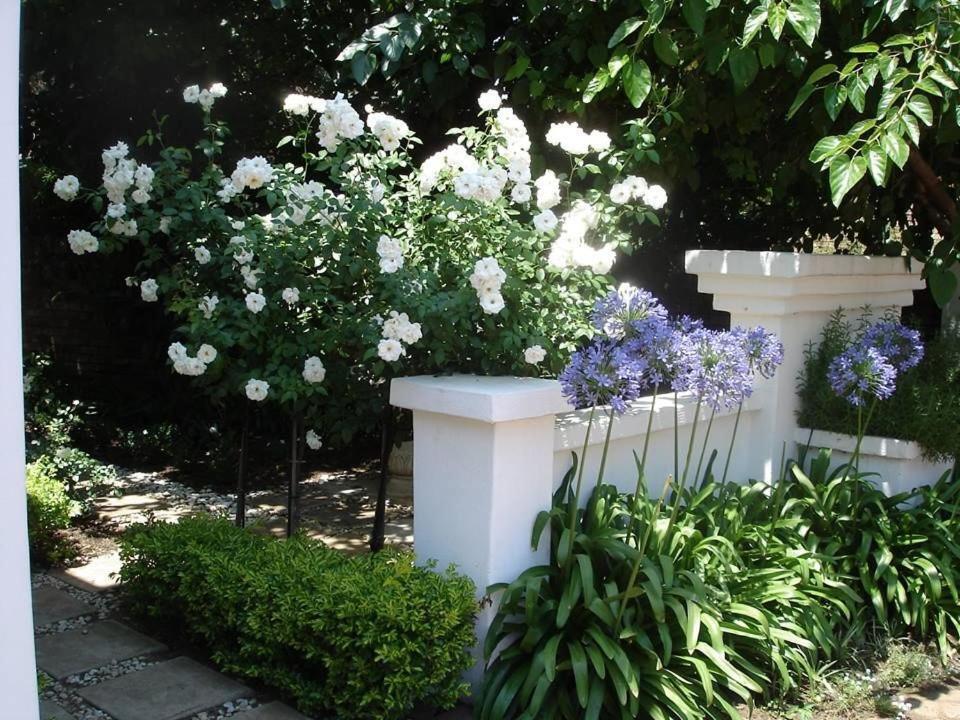 Oxnead Guesthouse Pretoria-Noord Zewnętrze zdjęcie
